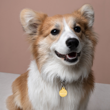 Load image into Gallery viewer, Official SafeWealth Engraved Pet ID Tag

