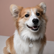 Load image into Gallery viewer, Official SafeWealth Engraved Pet ID Tag
